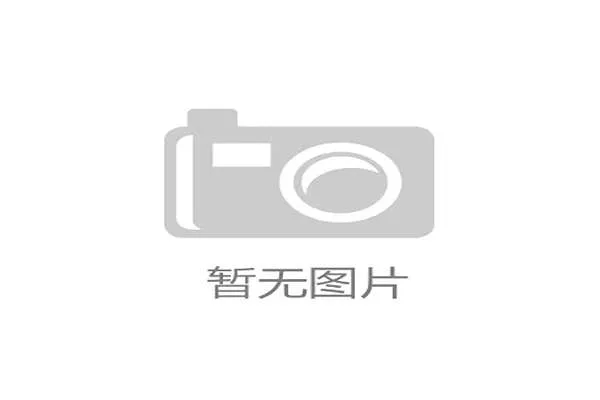 世界杯荷兰队表现分析：荷兰队在本届比赛中的战术布局与关键球员表现详解
